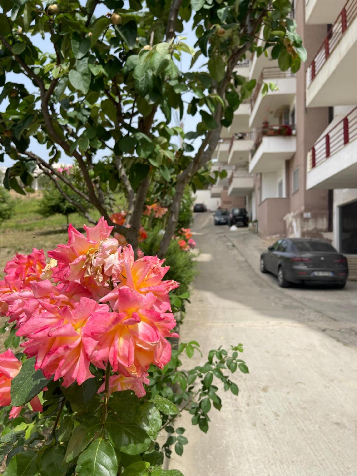 Beach Apartments Durrës Eksteriør billede